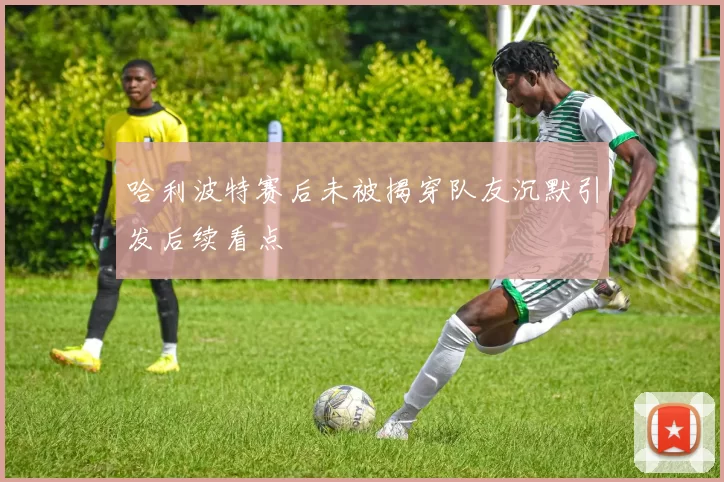 哈利波特赛后未被揭穿队友沉默引发后续看点