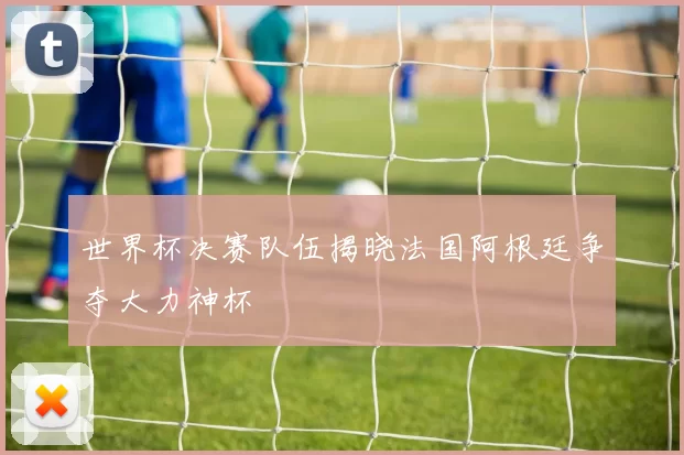 世界杯决赛队伍揭晓法国阿根廷争夺大力神杯