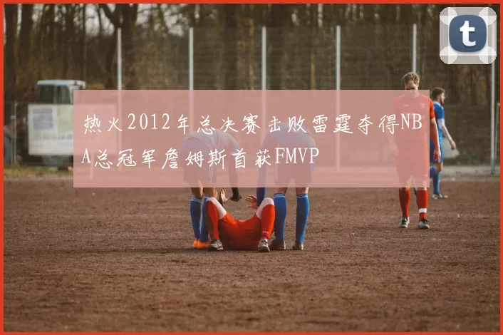 热火2012年总决赛击败雷霆夺得NBA总冠军詹姆斯首获FMVP